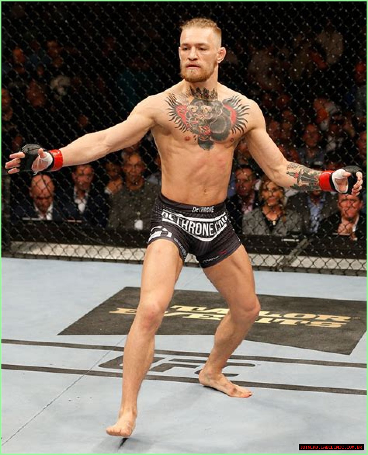 Connor McGregor Height: The Dimensions Of A Fighting Legend