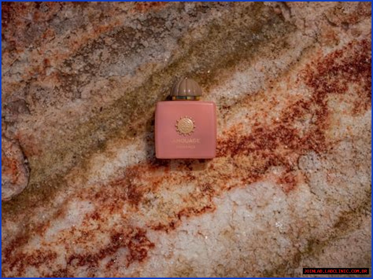 Morgan Harvey: A Deep Dive Into The Life And Career Of An Inspiring Figure